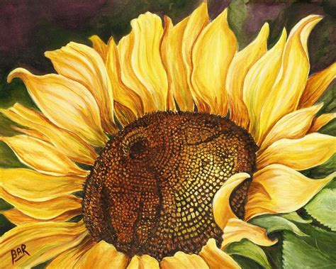 Sunflower Bloom I Painting By Barbara Ann Robertson Fine Art America