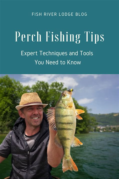 Perch Fishing Tips- Expert Techniques and Tools You Need to Know