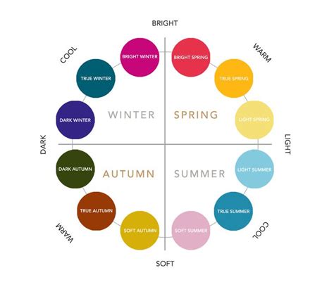 Which Colour Season Are You? - the concept wardrobe | Colors for skin ...