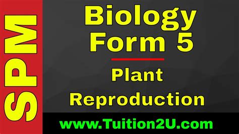 Penggunaannya buku teks digital biology form 4 kssm ini sangat mudah kerana dengan hanya. Tuition2U.com: SPM 2020 KSSM - Biology - Form 5 - Plant ...