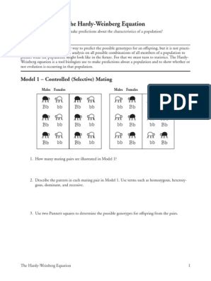 Cell biology pogil work and answers given. The Hardy-Weinberg Equation Pogil Answer Key : Hardy ...