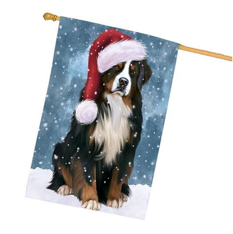 Let It Snow Christmas Holiday Bernese Mountain Dog Wearing Santa Hat