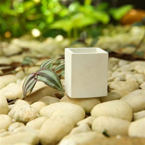 White Rectangle Planter Who We Are
