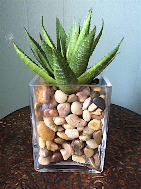 28 Cute Indoor Succulent Plant Decor Ideas To Beautify Your Home