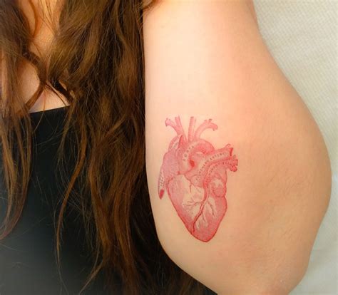 2 anatomical heart temporary tattoos smashtat etsy anatomical heart tattoo heart temporary