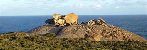 Kangaroo Island In Australien Individueller Reisebericht Mit Tipps