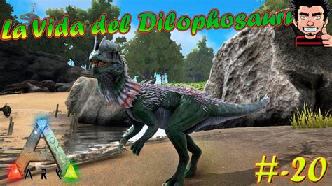 Ark Survival Evolved La Dura Vida Del Dilophosaurus Y Gallimimus Play
