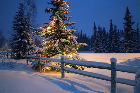 23 Absolutely Beautiful Pictures Of Snow Winter Wonderland Christmas