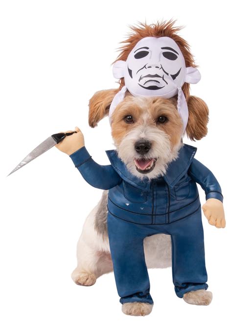 Best Dog Costumes For Halloween 2022 From Pumpkins Ghostbusters Even