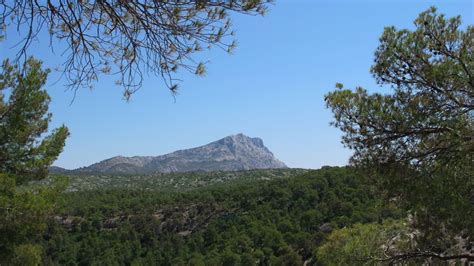 Photo Forest On The Slopes Of The St Victoire Mountain By Le Tholonet