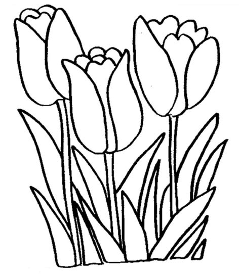 Large flower and little flower. Free Printable Tulip Coloring Pages For Kids