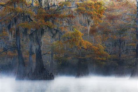 Big Cypress Bayou Caddo Lake Fred R Cox Flickr
