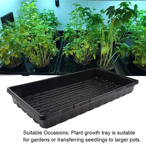Buy Plant Growing Trays Seed Tray Seedling Starter For Greenhouse