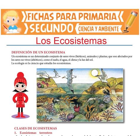 Ficha De Los Ecosistemas Para Segundo De Primaria Actividades De Los