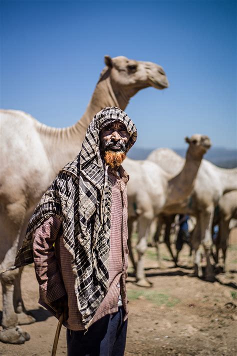 · arabina is made up of stable macromolecules which prevent the formation of neutral colloids responsible for possible cloudiness in wine. Trading Camels and Salt on Behance