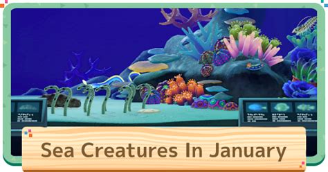 Different bubble speeds indicate different all of the most valuable sea creatures in animal crossing: ACNH | January - Sea Creatures List | Animal Crossing ...