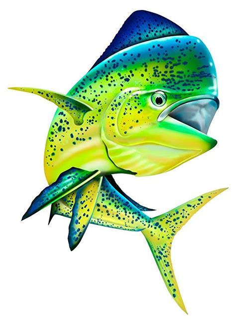 Mahi Mahi Fishing Color Decal 12x 9 Mahi Fish Fish Art Fish Drawings