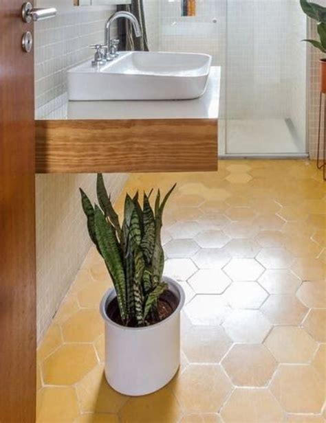 Conoce Cuáles Son Las Mejores Plantas Para Decorar El Baño Plantas