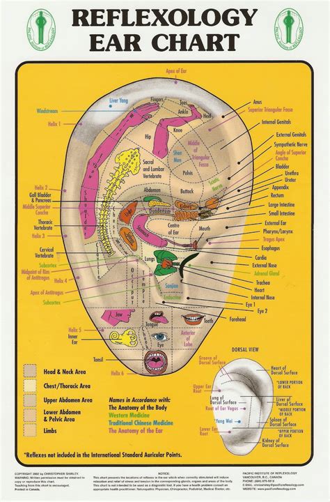 Printable Ear Seed Placement Chart