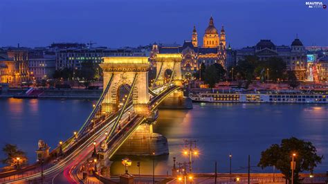 River Budapest Chain Bridge Night Hungary Danube Lighting