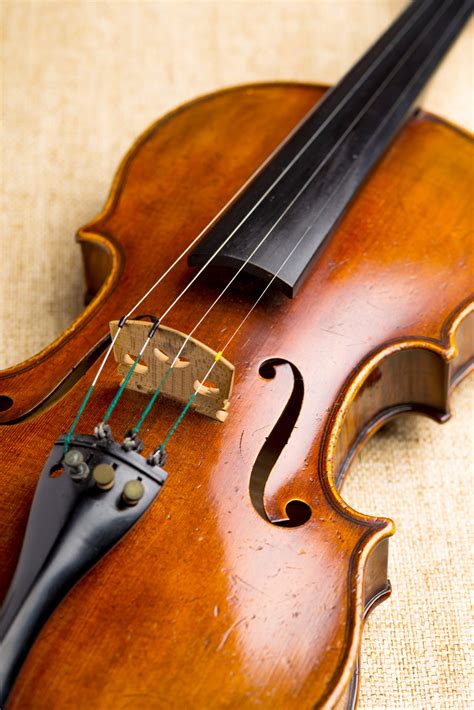 How To Find The Best Left Handed Violin Strings Guide