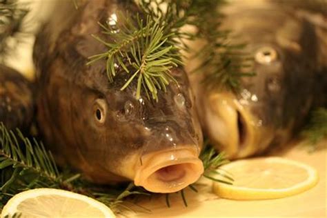 Abychom vám usnadnili vyhledávání zajímavého obsahu, připravili jsme seznam článků souvisejících s tématem vánoční tradice, které hledáte. Vánoční zvyky a tradice