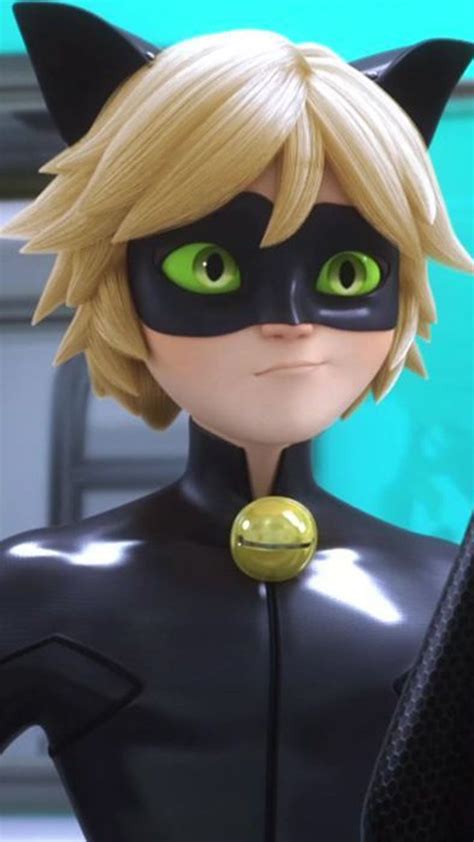 Cat Noir | Miraculous ladybug movie, Miraculous ladybug anime