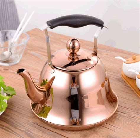 Dropship Whistling Kettle For Gas Stove Bouilloire 2l Stainless Steel