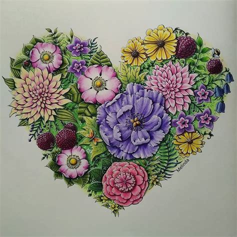 25 results for johanna basford world of flowers. Pin on 04_ Johanna Basford Books