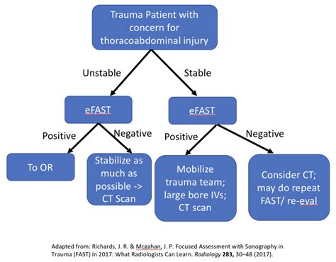 Focused Assessment With Sonography In Trauma Clinical Care