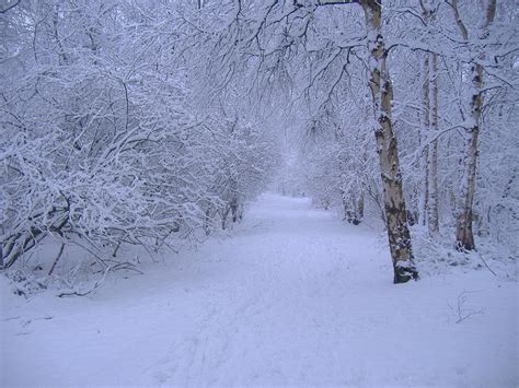Free Download Winter Scene Wallpaper 1280x960 For Your Desktop