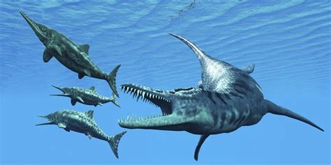 Jun 11, 2021 · peneliti mendeskripsikan jika dinosaurus yang masuk genus titanosaurus ini memiliki tubuh sepanjang lapangan basket dan setinggi gedung berlantai dua, yang diukur dari kaki hingga pinggulnya. Hewan-hewan Predator Terbesar Sepanjang Masa | Belajar ...