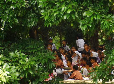 Kunjungi bedugul kebun raya bali. Kebun Raya dan Pentingnya Pelestarian Keanekaragaman Hayati : Mongabay.co.id