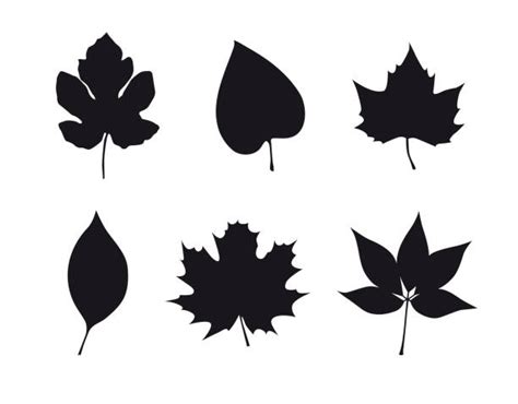 Leaf Silhouettes Illustrations Royalty Free Vector Graphics And Clip Art