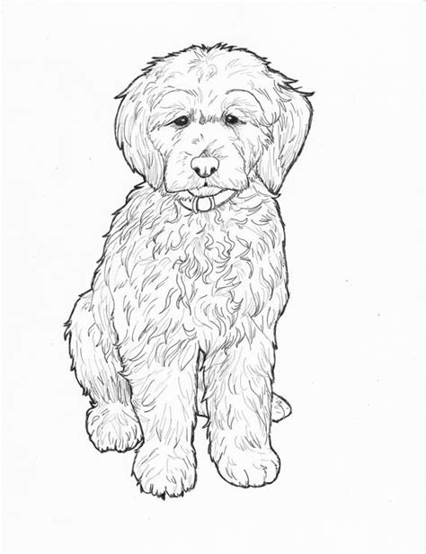 Printable Doodle Dog Coloring Page Labradoodle Art Sheet Coloring For
