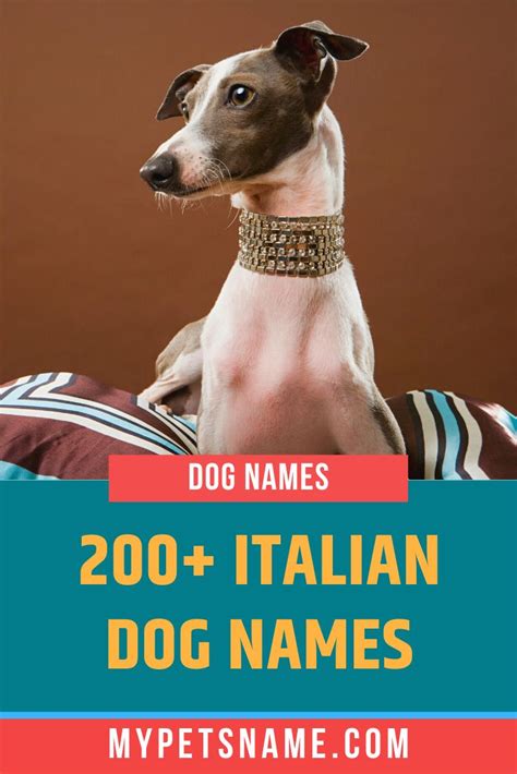 Italian Dog Names Dog Names Italian Dogs Cute Names For Dogs