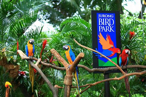 ;abbreviated as kl tower) is a communications tower located in kuala lumpur, malaysia. Singapore Bird Park Sky Park Marina cheap ticket Bird Park ...
