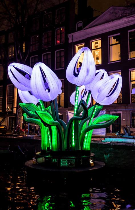 The Bunch Of Tulips Inflatable Light Installation Amsterdam Light