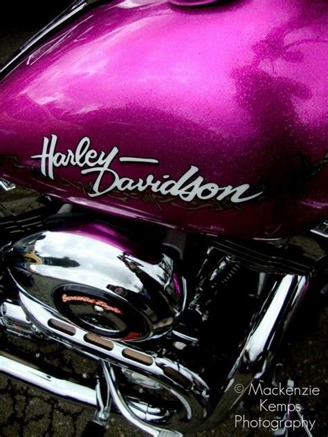 Hot Pink Harley Davidson Harley Harley Davidson Sportster Harley