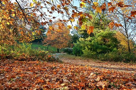 Autumn Season Nature Free Photo On Pixabay