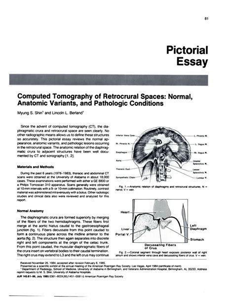 Pdf Computed Tomography Of Retrocrural Spaces Normal Anatomic
