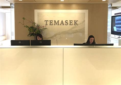 Temasek Holdings Singapore Electronics And Engineering Pte Ltd