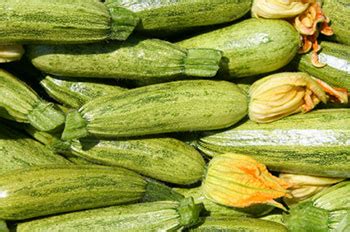 This is how i peel my zucchini and squash for this dish. Should Coumadin (warfarin) users peel zucchini before ...
