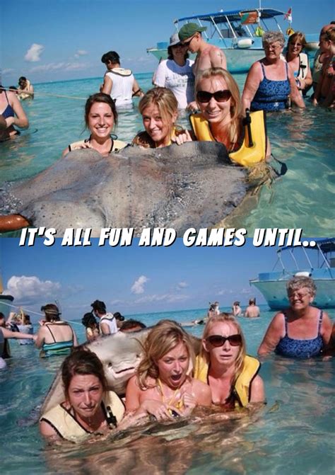 I have posted the bottom picture previously; much better with the top