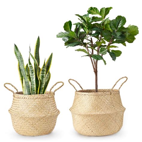 Shop for outdoor baskets planters online at target. The Best Baskets To Use As Planters - Clever Bloom