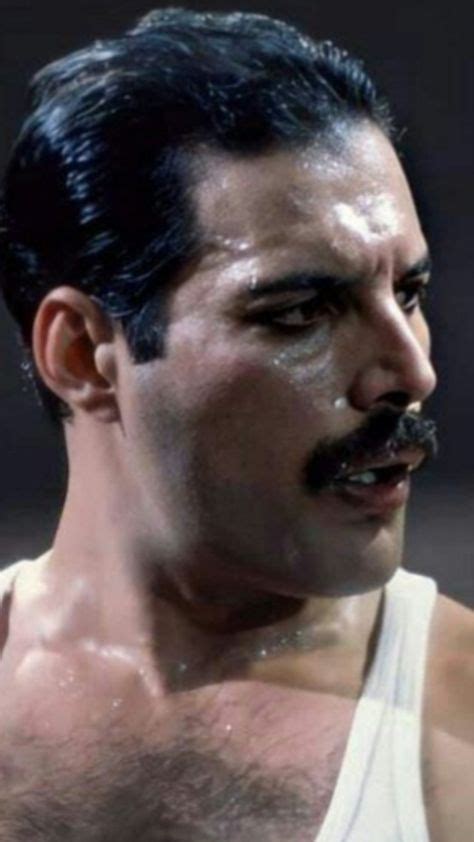 Pin By Roxanne Watson On Freddie Mercury Lover Of Life And Singer Of