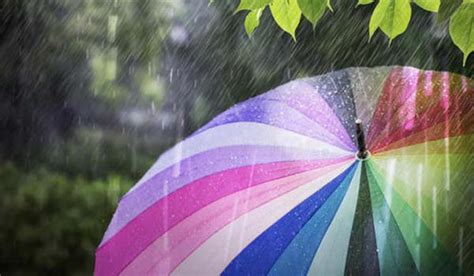 Check out our ever expanding dream dictionary, fascinating discussion forums, and other interesting topics related to dreaming. Dream Meaning and Interpretation about Rain