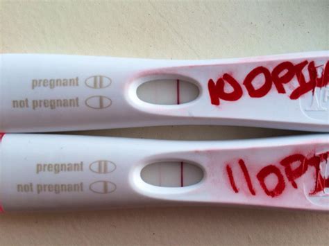 12 Days Past Ovulation And Negative Pregnancy Test