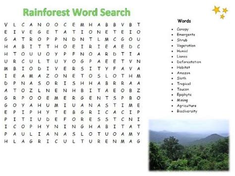 Rainforest Word Search Teaching Resources