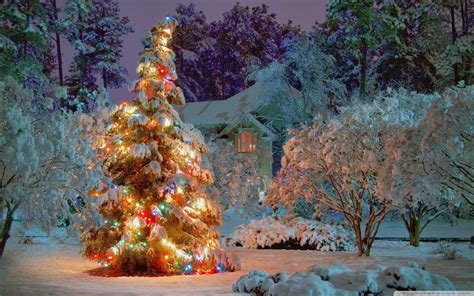 Einzelheiten Mehr Als 76 Hintergrund Schönste Weihnachtsbilder Super Heiß Vn